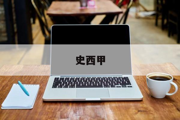 史西甲,实习鉴定表